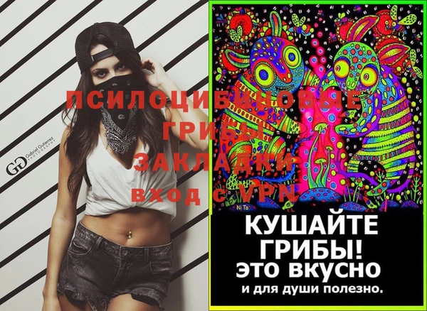 крисы Алексеевка