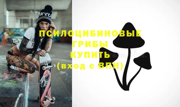 соль ск Алзамай