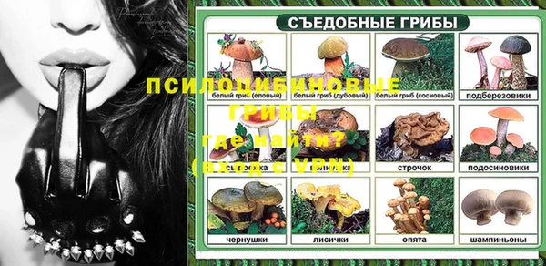 соль ск Алзамай