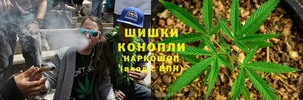соль ск Алзамай